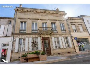 Elégant immeuble en pierre 19e avec jardin et vaste dépendance