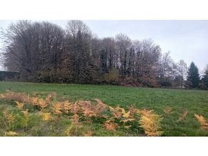 Vente terrain 8315 m² Saint-Jal (19700)