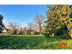 Terrain Nassigny m² T- à vendre  20 000 €