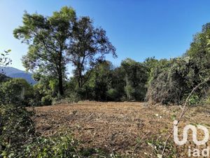 Vente terrain 3045 m² à Eysus (64400)  65 000 €