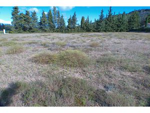 Annonce terrain à vendre