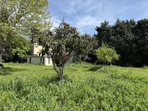 Terrain Viabilisé 496 m2 Caderousse Rare sur le secteur !