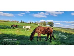 Vente ferme 10 pièces 160 m² à Marolles-les-Braults (72260)  489 600 €