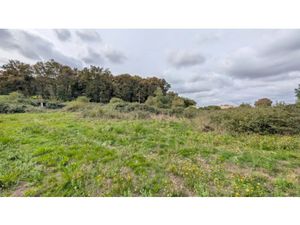 Vente terrain 7053 m² à Mont-de-Marsan (40000)  140 800 €