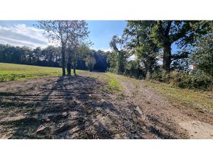 'Terrain à bâtir en fond d'impasse  calme  lumineux et idéal