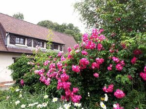 Annonce vente maison 7 pièces de 216m2 à Canlers (62310) - ParuVendu.fr ref 992777506295