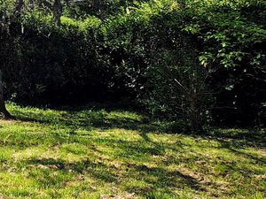 A vendre terrain de 4400 m2 constructible à Saint Martin de Laye