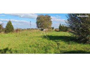 Terrain 2694 m² SAINT PIERRE BROUCK