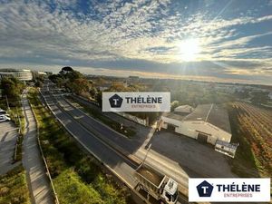 Location local commercial 1072m2 Pérols 34470 - 29300 € - Surface Privée