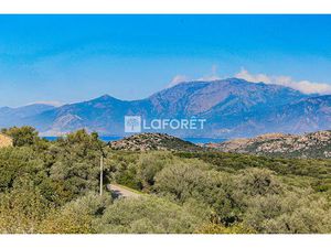 Maison T7 Santo-Pietro-di-Tenda à vendre