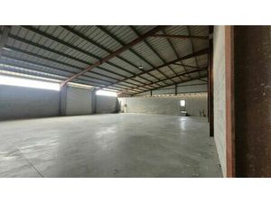 Location commerce 1244 m² à Cournonterral (34660)