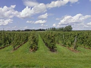 Terrain à vendre à Bunsbeek € 87.000 (KYBJ3) - Bigsand | Zimmo