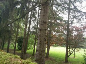 Le Top des terrains constructibles: 4 superbes parcelles près de la Seine  emplacement...