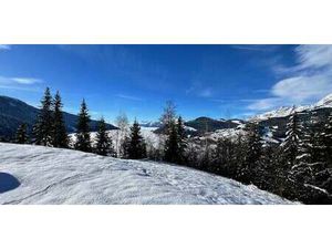 Terrain Cohennoz (73)