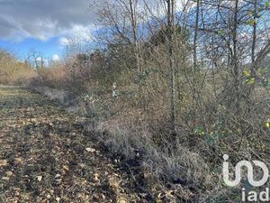 en vente Terrain non constructible 1 090 m² – 6 800 € |Montauville