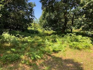 Vente terrain 500 m² à Labenne (40530)  270 000 €