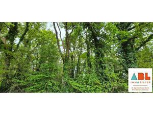 Vente Terrain à Maisdon-sur-Sèvre (44690) : à vendre / 620m² Maisdon-sur-Sèvre