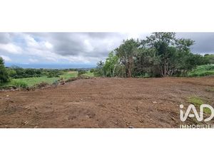 Vente terrain 1207 m² à Le tampon (97430)  220 000 €