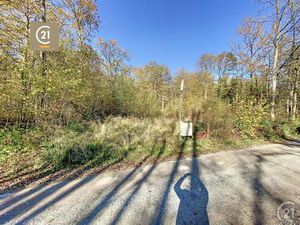 Terrain en vente à Avenue de la Sapinière 67  Cerfontaine  Belgique | CENTURY 21®