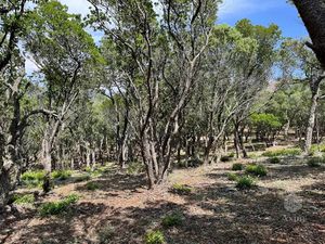 Vente terrain 25956 m² à Saint-raphael (83700)  50 000 €