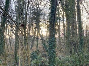 Terrain 1844 m² Aubigny-en-Artois