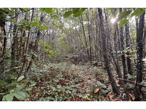 Vente terrain 1050 m² à Marsac-sur-l'Isle (24430)  58 000 €