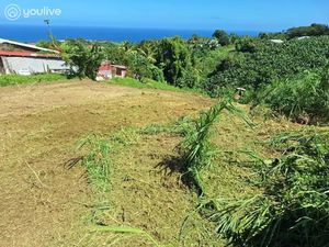 Vente terrain 2474 m² à Le lorrain (97214)  119 900 €