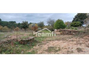 Terrains agricoles à Montréal (07) – Nature  espace et sér?