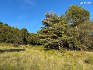 Terrain 2 610 m² Baudinard Sur Verdon