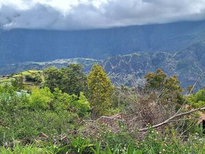 Vente maison 3 pièces 57 m² Cilaos (97413)