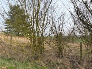 Vente terrain 2000 m² à Villeneuve-l'Archevêque (89190)  21 000 €