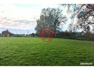 Terrain 1 040 m² Saint Sauveur