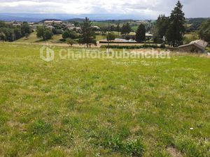 Vente terrain 2700 m² à Montchal (42360)  94 500 €