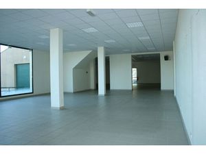 Vente commerce 300 m² Avrillé (85440)