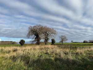 Vente terrain 281 m² à Riantec (56670)  72 500 €