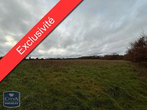 Terrain à vendre 13725 m² - Huismes (37) - 9 500€