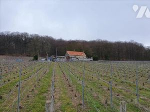 Vente maison 3 pièces 80 m² à Moussy (51530)  178 500 €