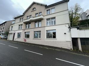 Locaux professionnels avec garage