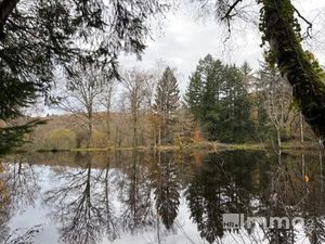 Vente terrain 34693 m² à Thouron (87140)  26 500 €