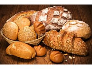 Vente locaux professionnels 480 m² à Descartes (37160)  90 000 €