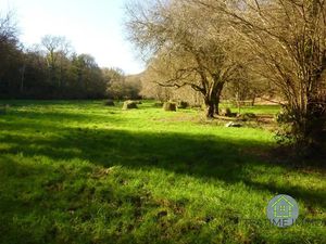 Vente terrain 7138 m² à Quimper (29000)  32 500 €