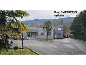 Local professionnel à vendre RUFFIEUX 20 pièce(s) 879m2 890 000€