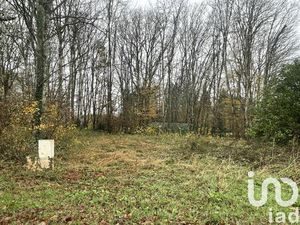 Vente terrain 895 m² Saint-Fargeau (89170)