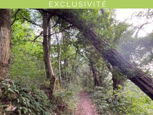 Vente terrain 13950m2 Agen-d'Aveyron 12630 - 12000 € - Surface Privée