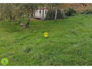 Vente terrain 6000 m² à Montvicq (03170)  29 900 €