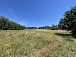 Achat : Terrain (24510)