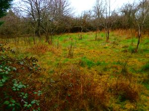 TERRAIN A BATIR 3000 M2 POUR USAGE PROFESSIONEL OU HABITATIO