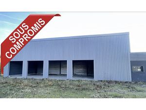 Vente locaux professionnels 332 m² à Castelsarrasin (82100)  NaN €