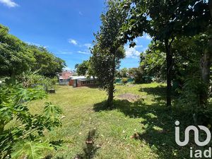 Vente maison 2 pièces 65 m² à Saint Andre (97440)  269 000 €