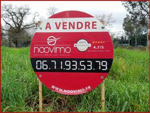 Vente Terrain au Cellier (44850) : à vendre / Le Cellier
